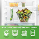حافظة أعشاب وخضروات طازجة بقاعدة ماء – علبة محكمة للحفاظ على البقدونس والكرفس والنعناع