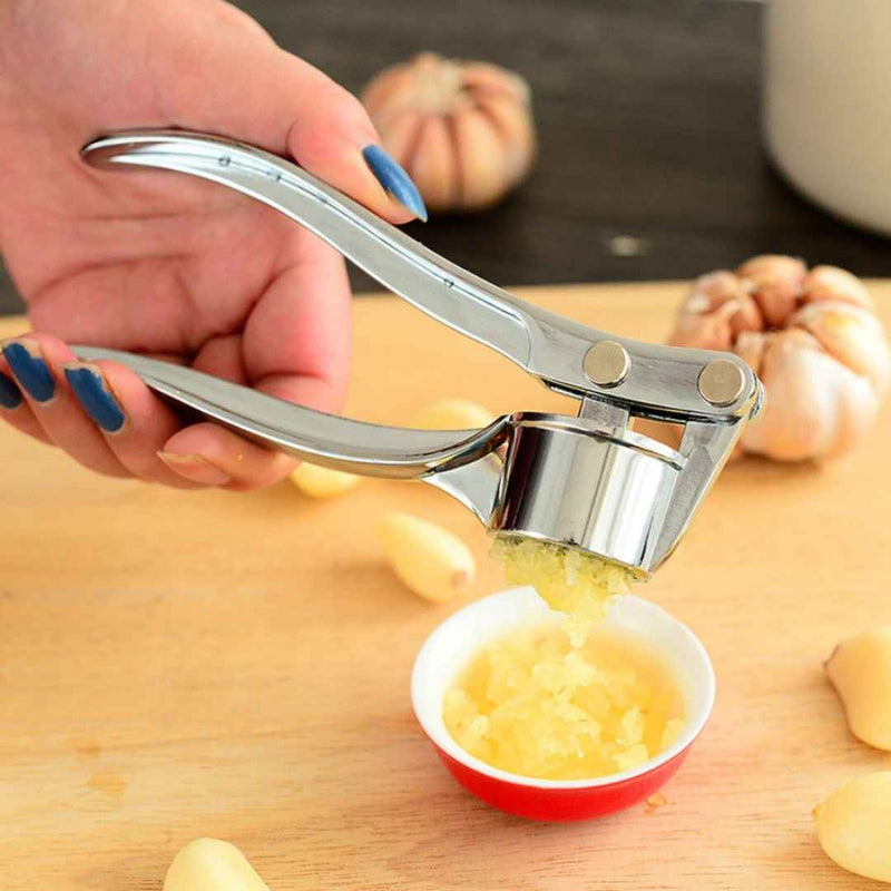 Manual garlic mincer with stainless steel build and strong grip | Cupindy