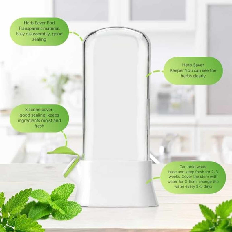 Herb & Vegetable Storage Keeper With Water Reservoir – Tall Airtight Container To Keep Herbs Fresh