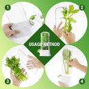 حافظة أعشاب وخضروات طازجة بقاعدة ماء – علبة محكمة للحفاظ على البقدونس والكرفس والنعناع