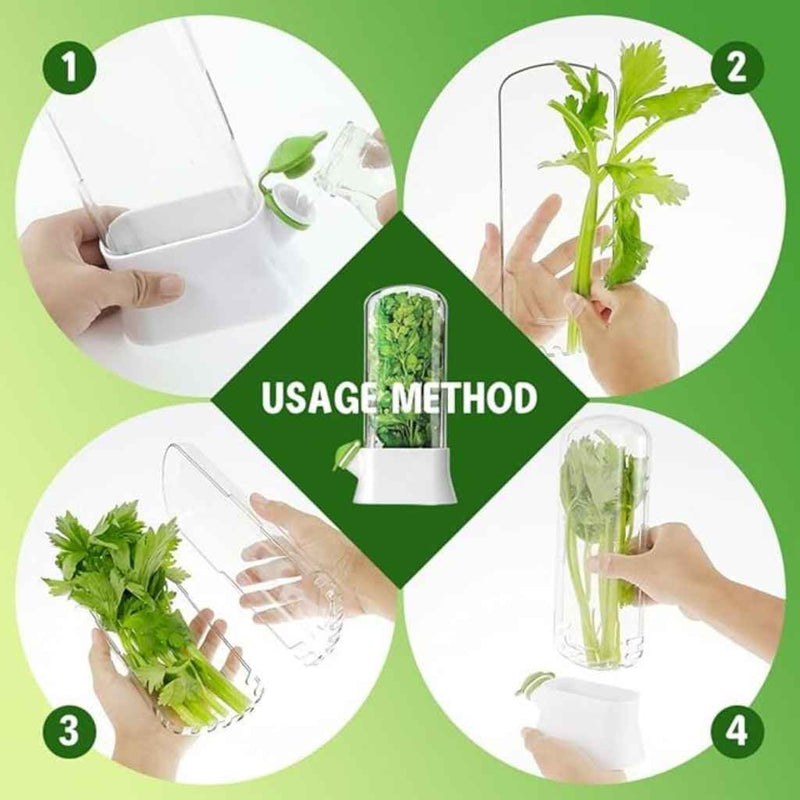 Herb & Vegetable Storage Keeper With Water Reservoir – Tall Airtight Container To Keep Herbs Fresh