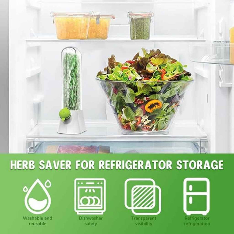 Herb & Vegetable Storage Keeper With Water Reservoir – Tall Airtight Container To Keep Herbs Fresh