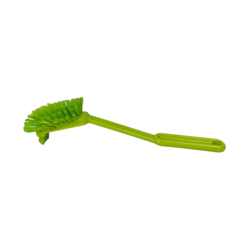 Green bottle brush on a white background