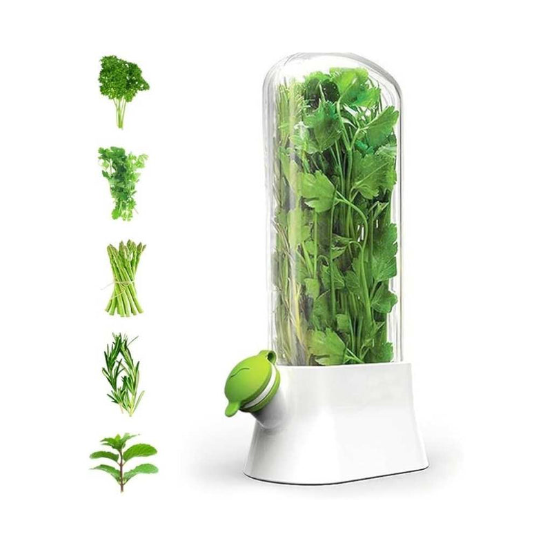 Herb & Vegetable Storage Keeper With Water Reservoir – Tall Airtight Container To Keep Herbs Fresh