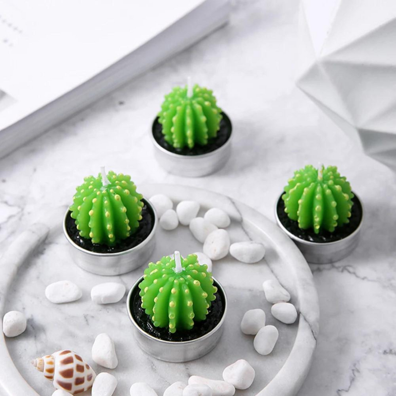 Small Succulent and Cactus Candle Set - 6 Pieces