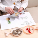 Fish Shape Solid Color Small Plate - Random Colors