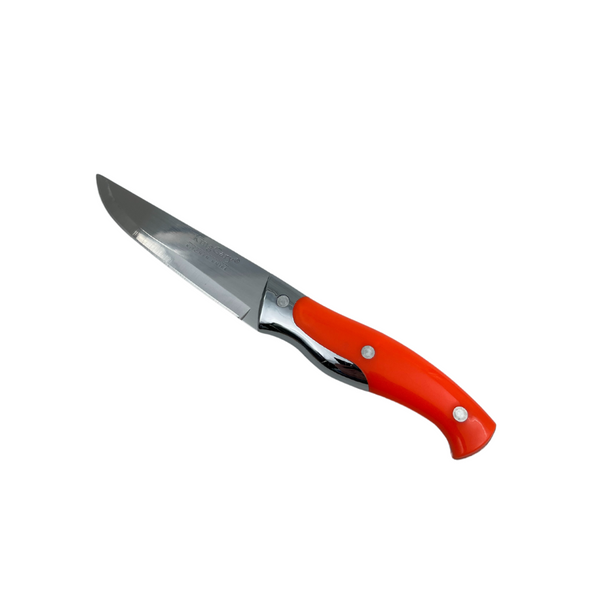 KingGary Wide Fruit Knife With Plastic Handle - Size 6 - K-129-6
