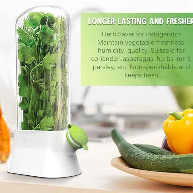 Herb & Vegetable Storage Keeper With Water Reservoir – Tall Airtight Container To Keep Herbs Fresh
