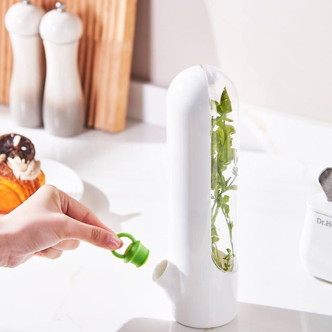 Demonstration of adding water to the fresh herb keeper for long-lasting herb storage in a stylish kitchen | Cupindy Egypt