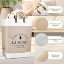 Laundry basket with features highlighted on a neutral background