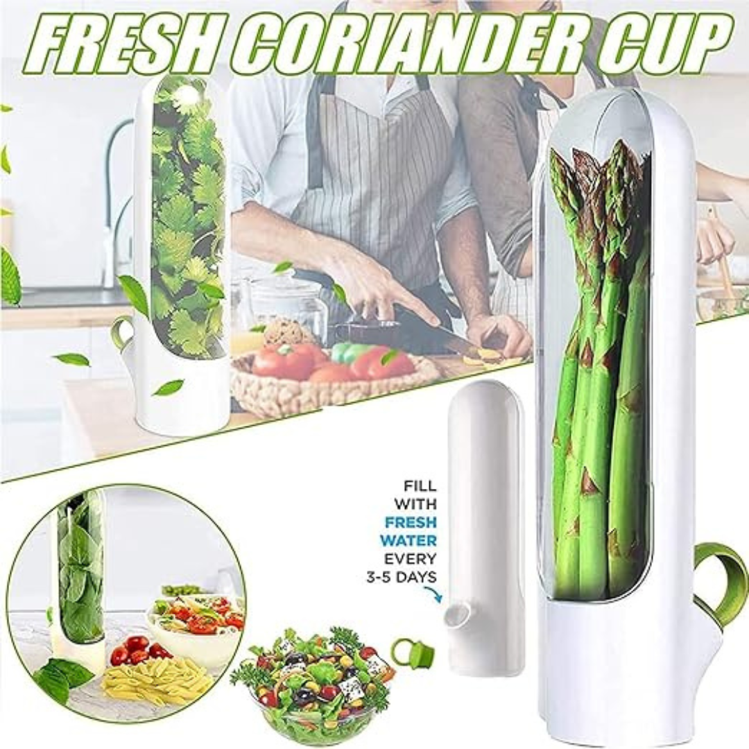 Versatile herb storage cup for coriander, asparagus, spinach, and more; keeps greens fresh with water refill | Cupindy Egypt
