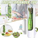 Versatile herb storage cup for coriander, asparagus, spinach, and more; keeps greens fresh with water refill | Cupindy Egypt