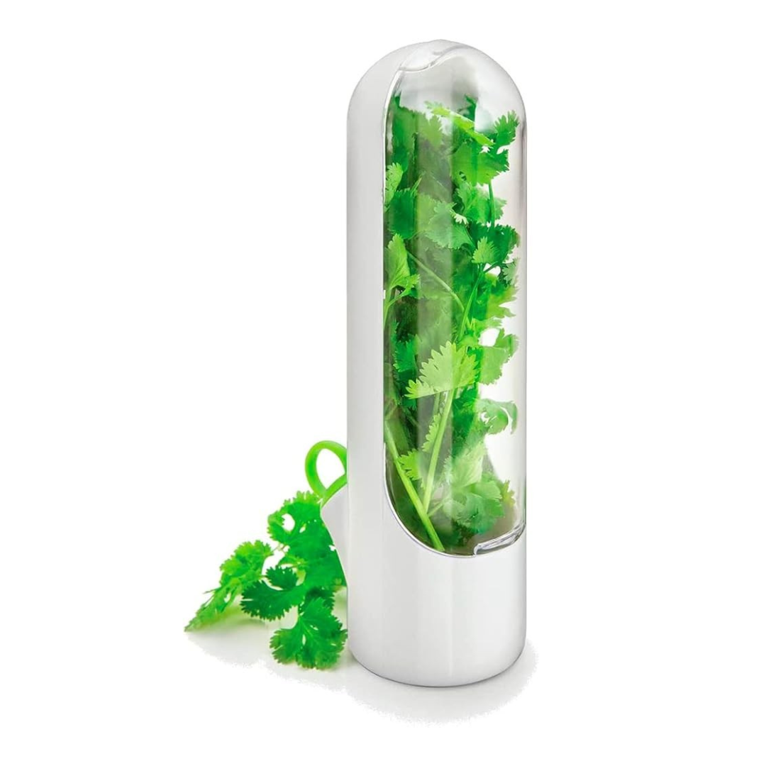Herb keeper container designed to keep coriander, parsley, and mint fresh longer in the fridge | Cupindy Egypt