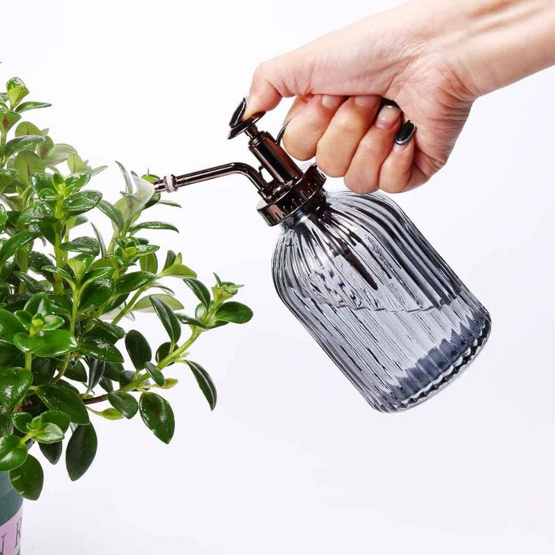Vintage Glass Plant Mister Spray Bottle With Pump – 350ML Capacity | Cupindy