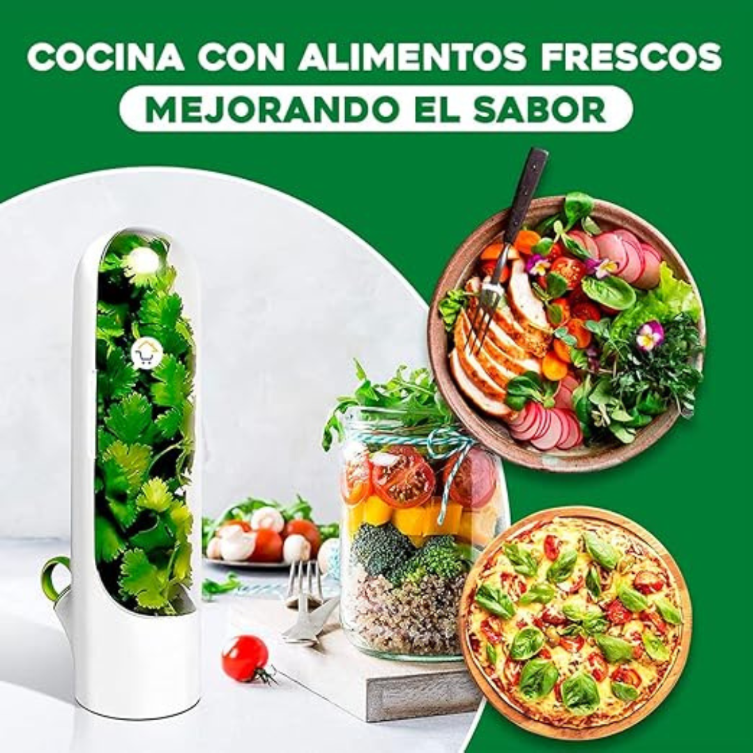 Visual showing how the herb keeper helps preserve fresh herbs like coriander and parsley for healthier, tastier meals | Cupindy Egypt