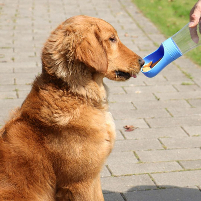 Dog using handheld bottle to drink on the go | Cupindy