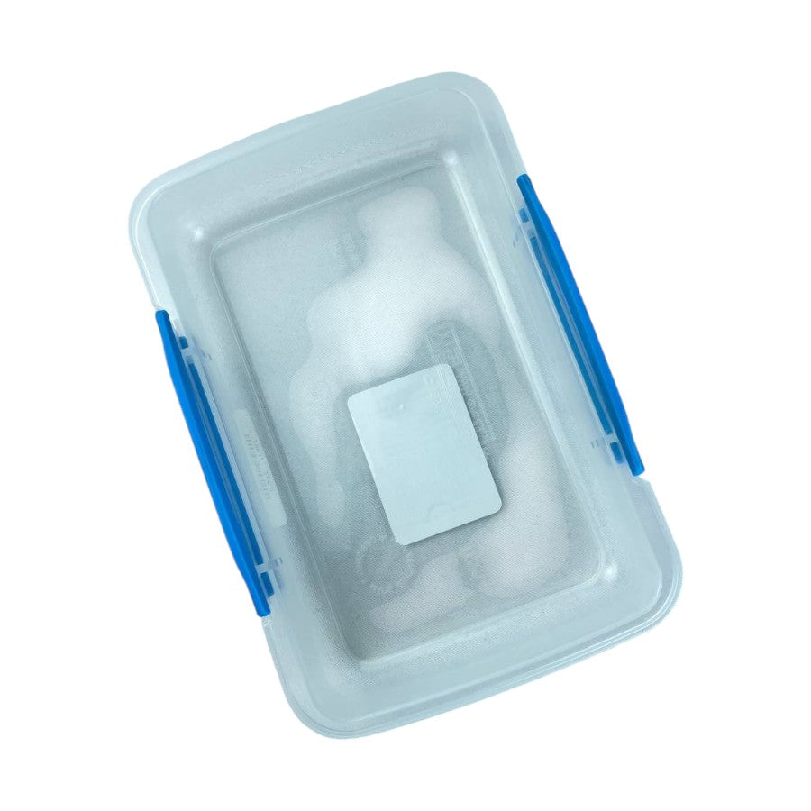 Inside view of Sistema Klip It 380ml rectangular food container with blue locking clips, clear BPA-free plastic body | Cupindy