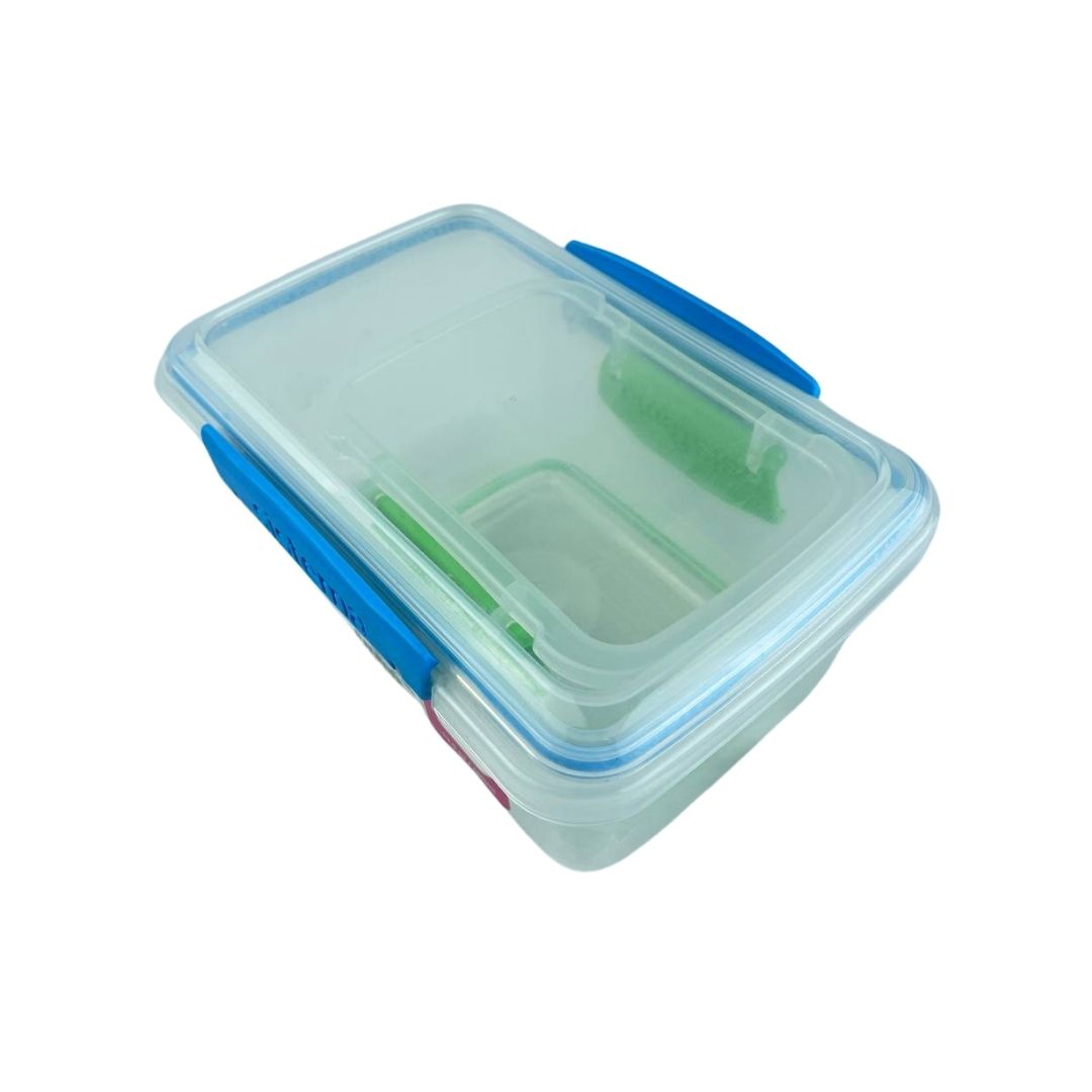 BPA-Free Leak-Proof Sistema Food Storage Container | Cupindy