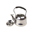 Stainless steel teapot with black handle on a white background
