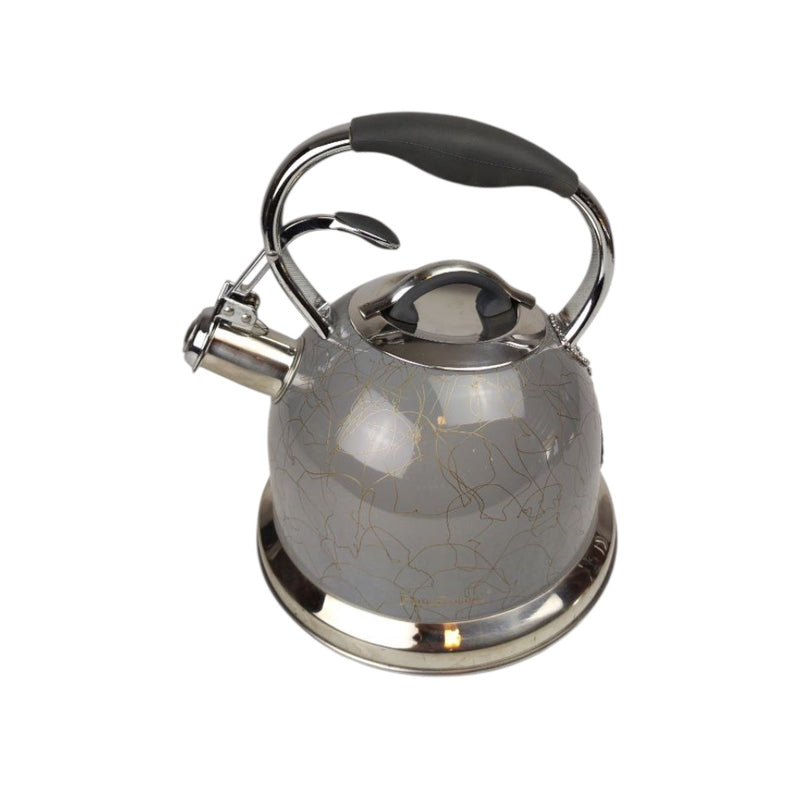 Silver and gray decorative kettle on a white background
