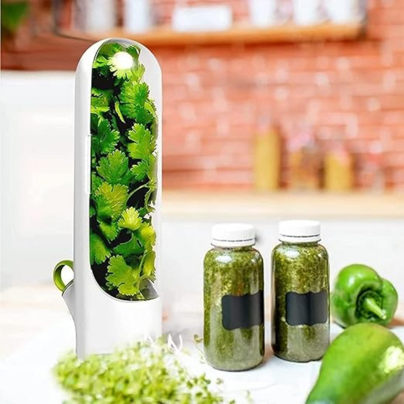 Fresh cilantro stored in an airtight herb container with transparent front, ideal for kitchen use | Cupindy Egypt