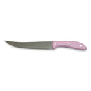 King Gary Stainless Steel Fruit Knife With Plastic Handle - 27 cm - Cupindy