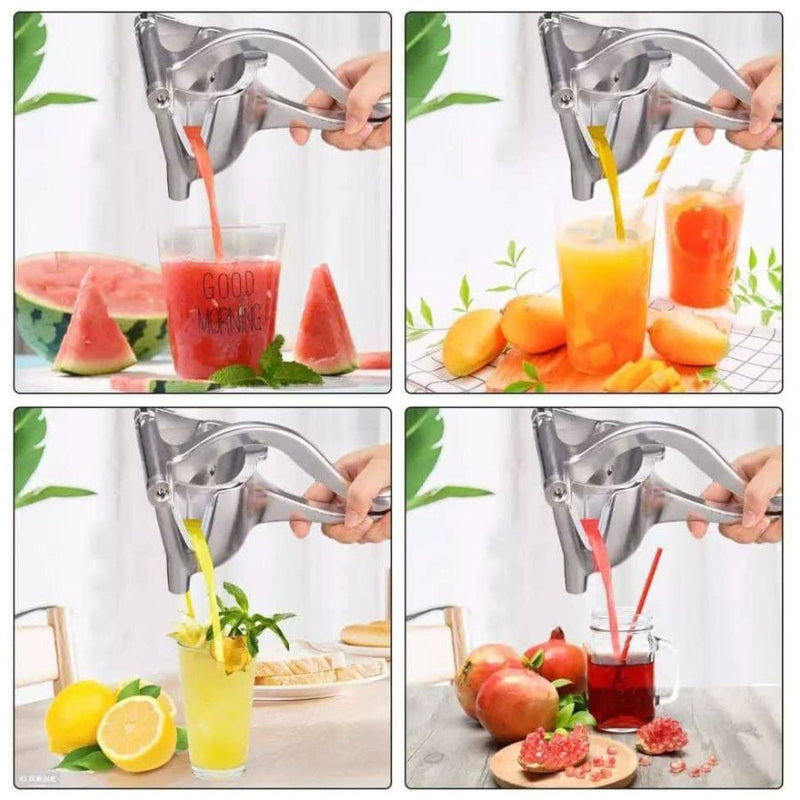 Large Aluminum Fruit Press - Cupindy