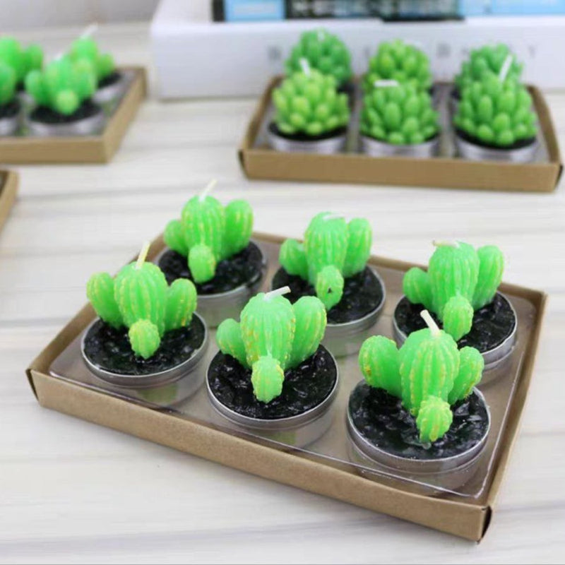 Small Succulent and Cactus Candle Set - 6 Pieces - Cupindy