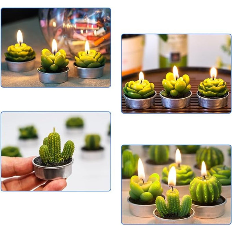 Small Succulent and Cactus Candle Set - 6 Pieces - Cupindy