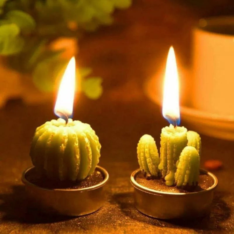 Small Succulent and Cactus Candle Set - 6 Pieces - Cupindy