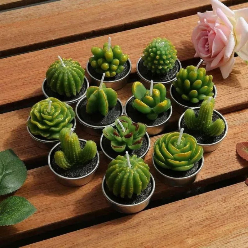 Small Succulent and Cactus Candle Set - 6 Pieces - Cupindy