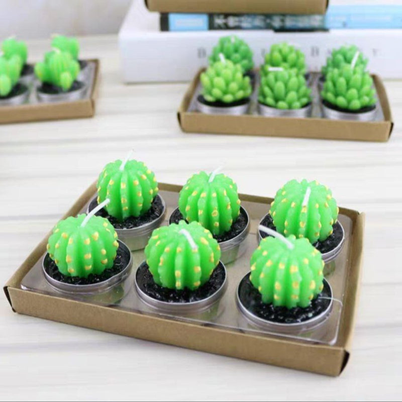 Small Succulent and Cactus Candle Set - 6 Pieces - Cupindy