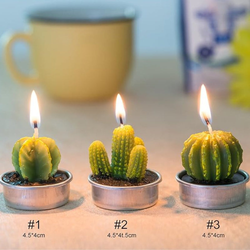 Small Succulent and Cactus Candle Set - 6 Pieces - Cupindy