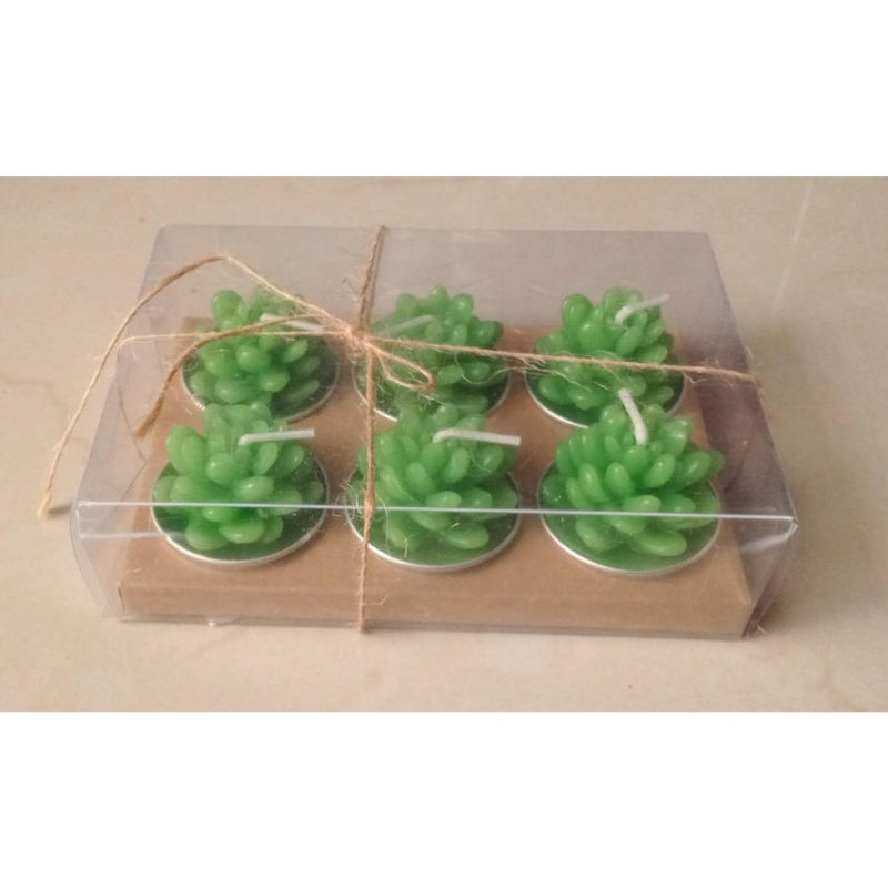 Small Succulent and Cactus Candle Set - 6 Pieces - Cupindy
