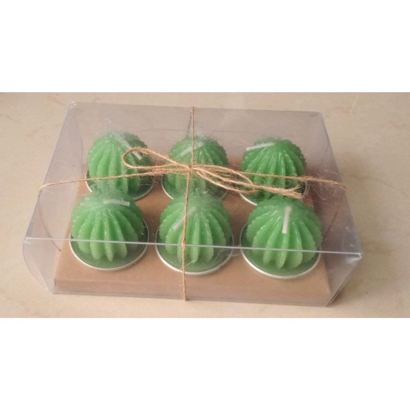 Small Succulent and Cactus Candle Set - 6 Pieces - Cupindy