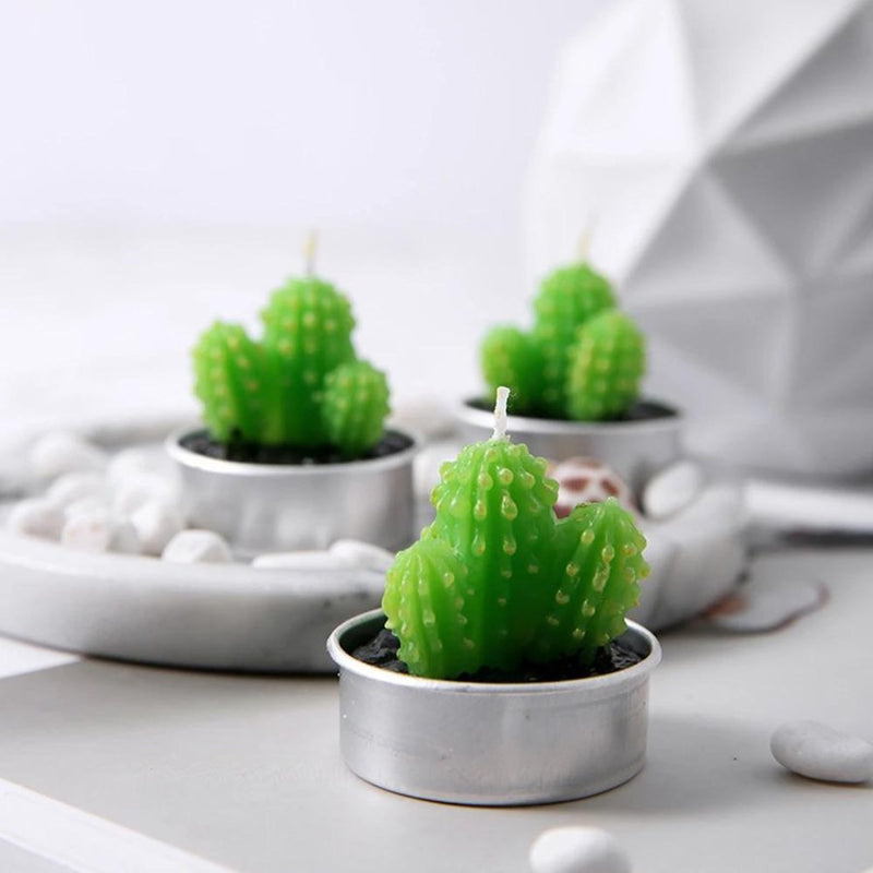 Small Succulent and Cactus Candle Set - 6 Pieces - Cupindy