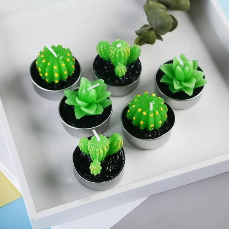 Small Succulent and Cactus Candle Set - 6 Pieces - Cupindy